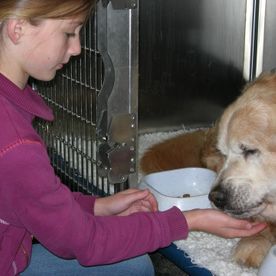 Kind speelt met een hond in een dierenkliniek